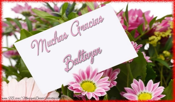 Felicitaciones de gracias - Flores | Muchas Gracias Baltazar