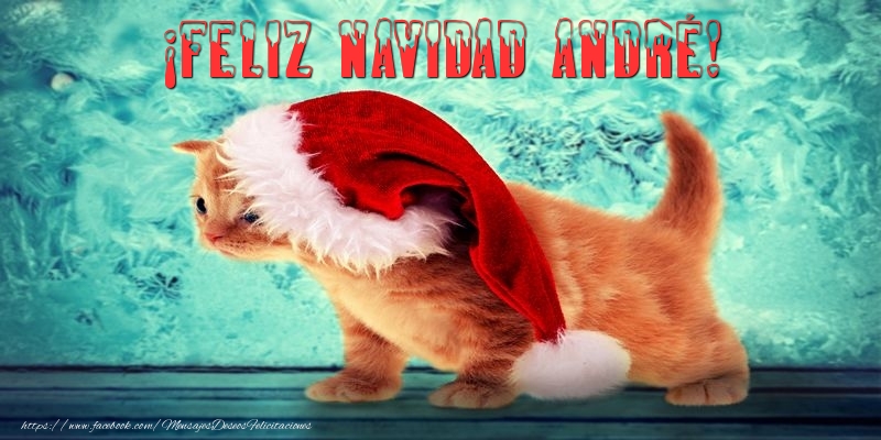 Felicitaciones de Navidad - ¡Feliz Navidad André!