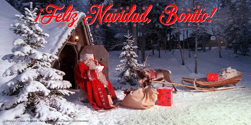 Felicitaciones de Navidad - Papá Noel & Regalo | ¡Feliz Navidad, Bonito!