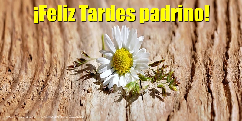 Felicitaciones de buenas tardes para padrino - ¡Feliz Tardes padrino!